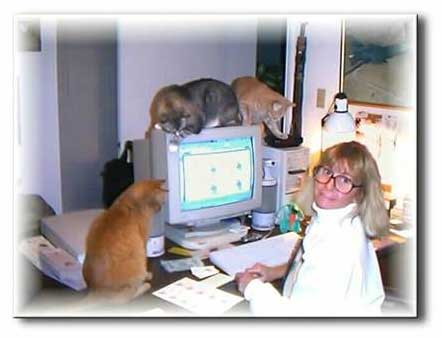 Feline Instincts - the early days